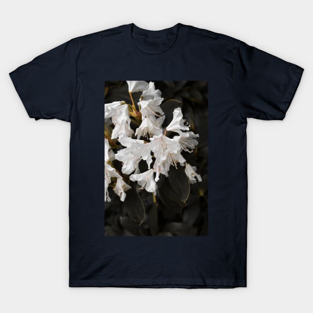 Class Floral. T-Shirt by shesjustcurious